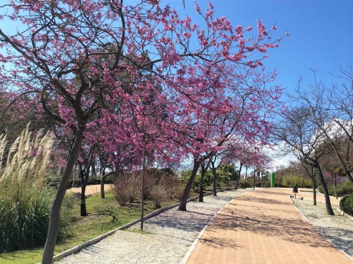 797 Holiday Rentals - Amplio Piso Para 4 En El Centro De Arroyo De La Miel Benalmádena Dış mekan fotoğraf